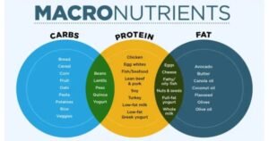 macronutrients